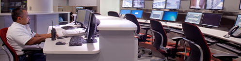 Plant Automation